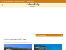 Tablet Screenshot of nationalcolonyrealty.com